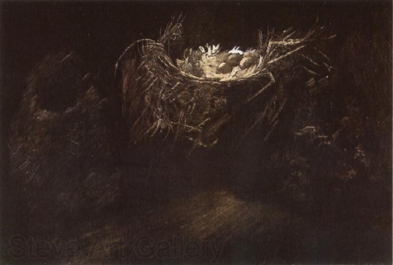 Vincent Van Gogh Still life with Three Birds'Nests (nn04) Spain oil painting art